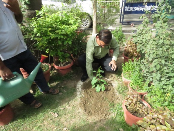 World Environment Day 5th June, 2024
