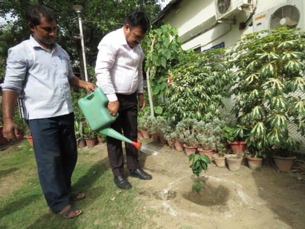 World Environment Day 5th June, 2024