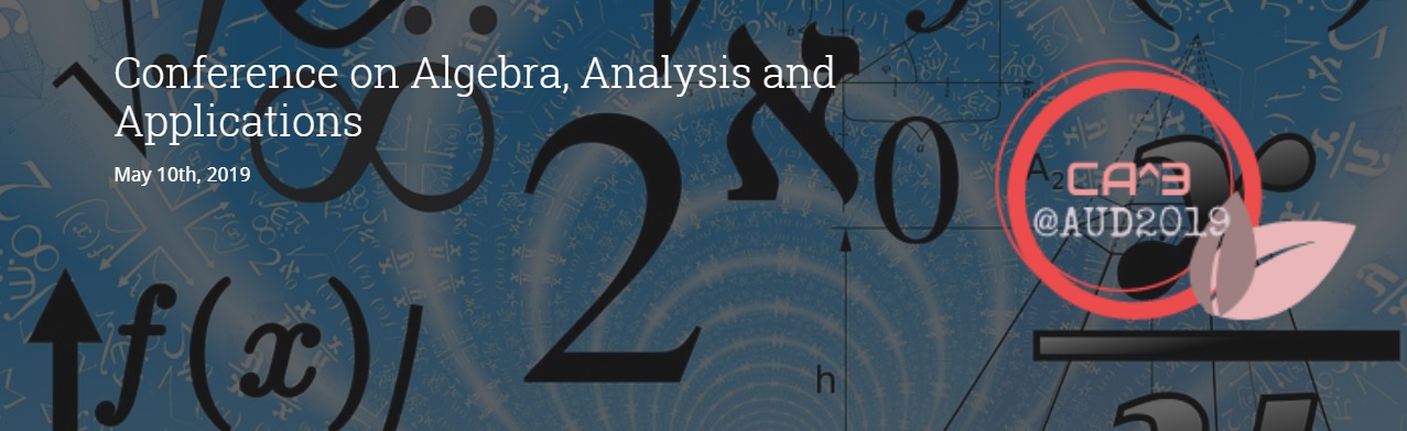 Conference on Algebra, Analysis, and Applications
