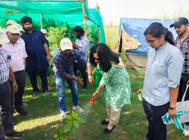 Celebration of World Environment Day at Dheerpur Wetland Project of Dr. B.R Ambedkar University Delhi