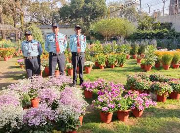 G20 Flower Show Feb to March 23