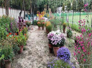 Geo tagged Photo KP Campus