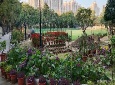 Geo tagged Photo KP Campus