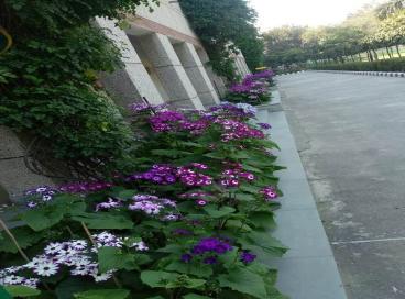 Geo tagged Photo KP Campus