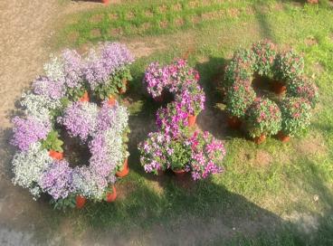 G20 Flower Show Feb to March 23