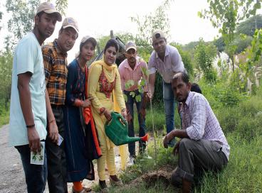 CUES plantation photos