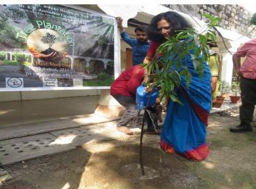 Tree Plantation program under the campaign Meri Maati mera Desh