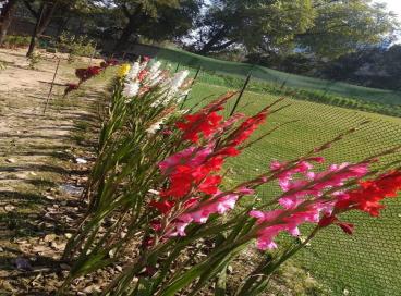 Geo tagged Photo KP Campus