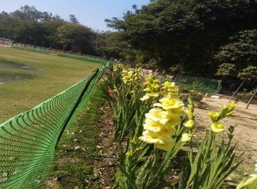 Geo tagged Photo KP Campus