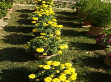 Geo tagged Photo KP Campus