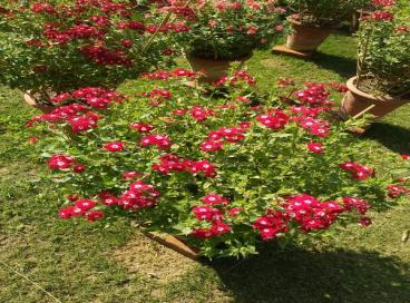 Geo tagged Photo KP Campus