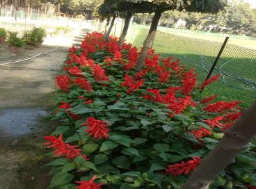 Geo tagged Photo KP Campus