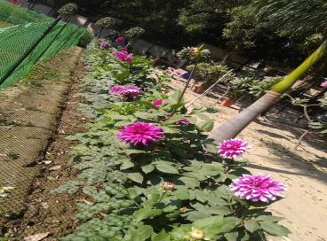 Geo tagged Photo KP Campus