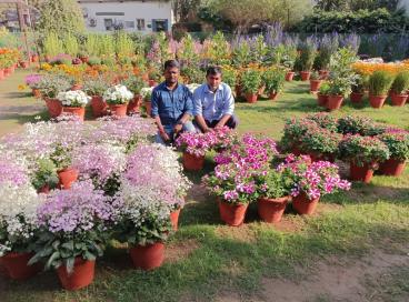 G20 Flower Show Feb to March 23