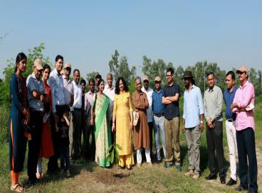 CUES plantation photos