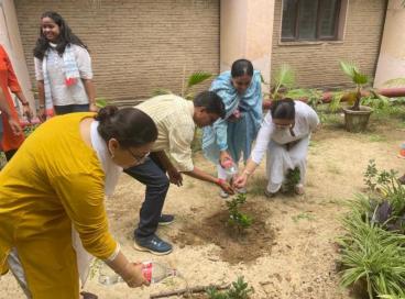 Tree Plantation program under the campaign Meri Maati mera Desh