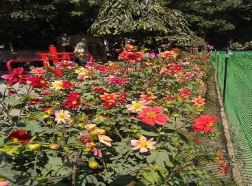 Geo tagged Photo KP Campus