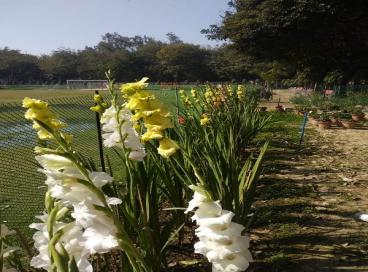 Geo tagged Photo KP Campus