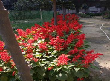 Geo tagged Photo KP Campus