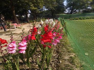 Geo tagged Photo KP Campus