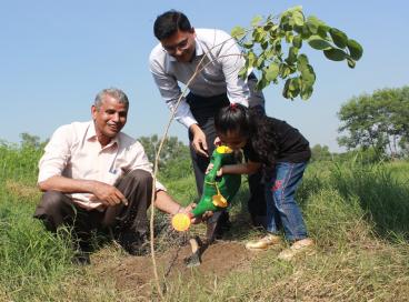 CUES plantation photos