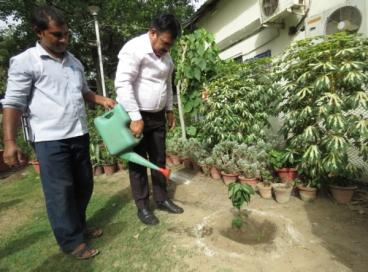 World Environment Day 5th June, 2024
