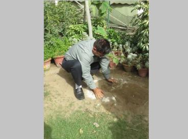 World Environment Day 5th June, 2024