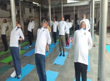 International Yoga Day