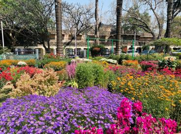 Spring 2024 @ University Campus