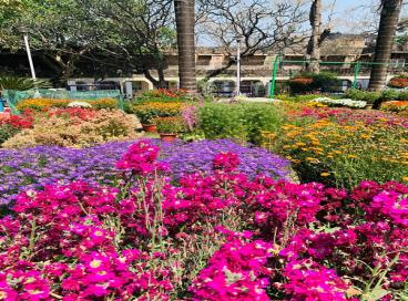 Spring 2024 @ University Campus