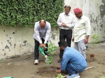 World Environment Day 2026