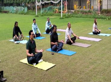 Regular Yoga Sessions